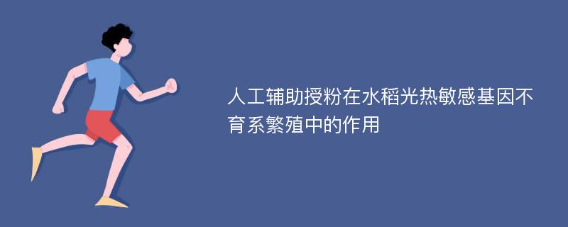 人工辅助授粉在水稻光热敏感基因不育系繁殖中的作用