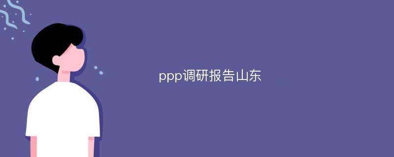 ppp调研报告山东