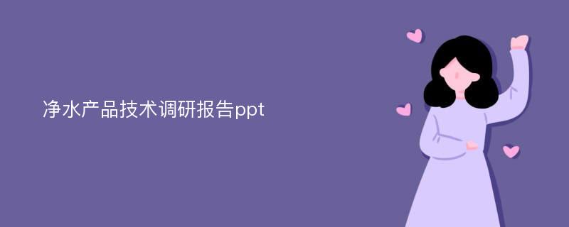 净水产品技术调研报告ppt